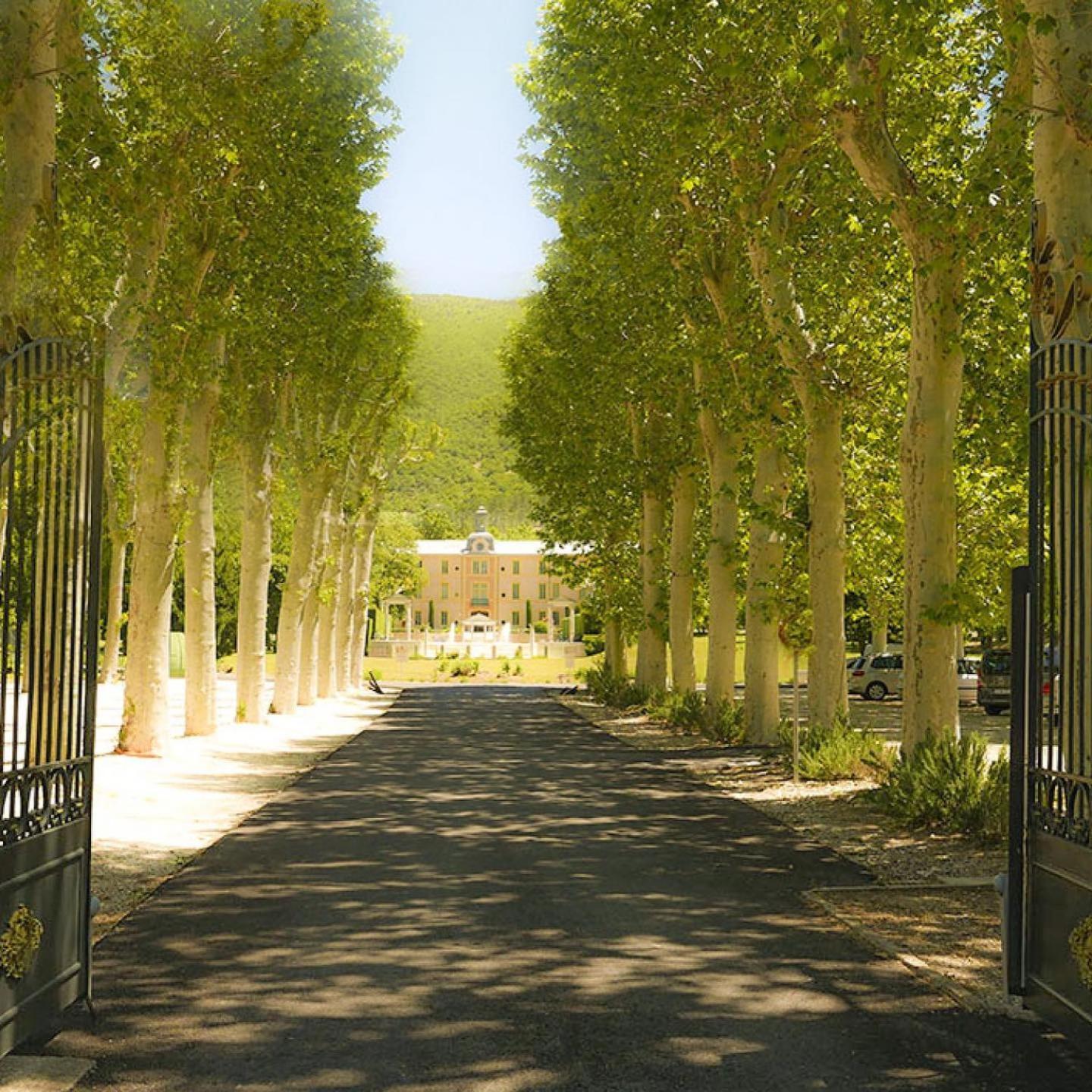 Chateau Des Gipieres Bij De Mont Ventoux Montbrun-les-Bains Εξωτερικό φωτογραφία