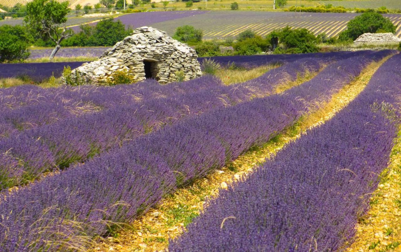 Chateau Des Gipieres Bij De Mont Ventoux Montbrun-les-Bains Εξωτερικό φωτογραφία