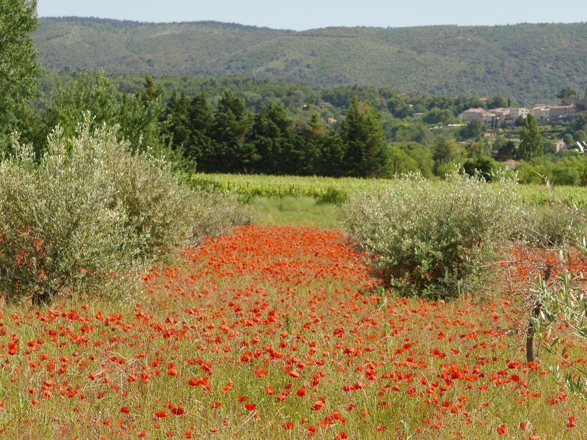 Chateau Des Gipieres Bij De Mont Ventoux Montbrun-les-Bains Εξωτερικό φωτογραφία
