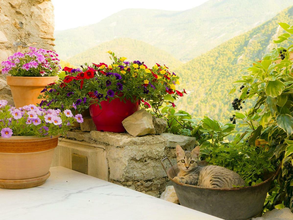 Chateau Des Gipieres Bij De Mont Ventoux Montbrun-les-Bains Εξωτερικό φωτογραφία