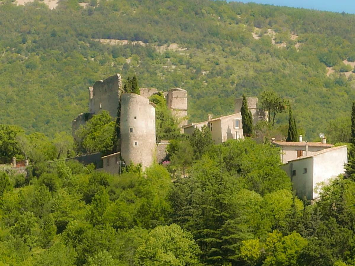 Chateau Des Gipieres Bij De Mont Ventoux Montbrun-les-Bains Εξωτερικό φωτογραφία