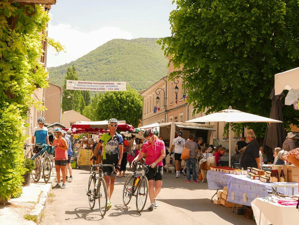 Chateau Des Gipieres Bij De Mont Ventoux Montbrun-les-Bains Εξωτερικό φωτογραφία