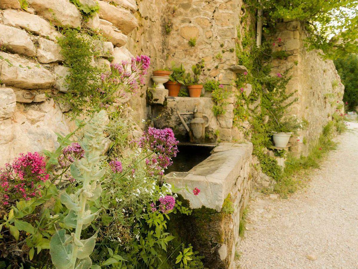 Chateau Des Gipieres Bij De Mont Ventoux Montbrun-les-Bains Εξωτερικό φωτογραφία